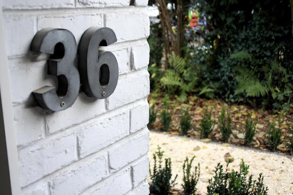 B&B Le 36 Brussel Bed & Breakfast