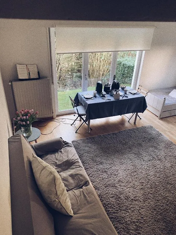 B&B Le 36 Brussel België